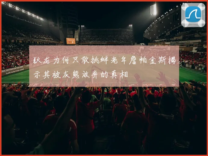 狄龙为何只敢挑衅老年詹帕金斯揭示其被灰熊放弃的真相