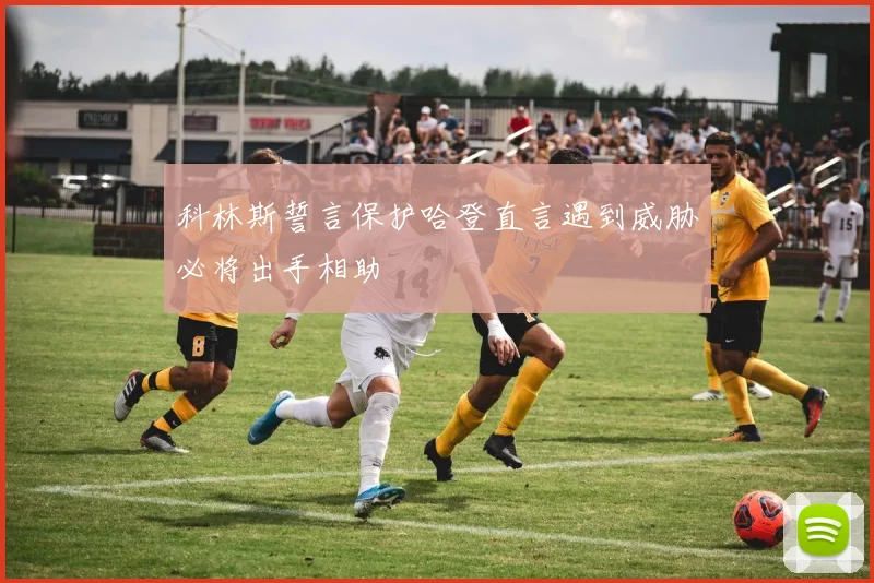 科林斯誓言保护哈登直言遇到威胁必将出手相助